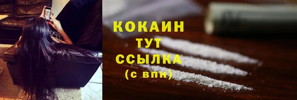 твердый Новозыбков