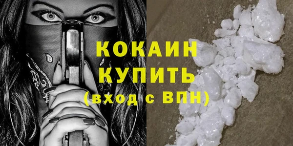 твердый Новозыбков