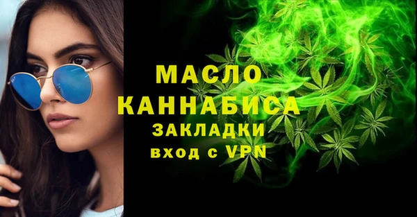 твердый Новозыбков