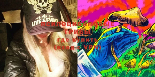 спайс Новодвинск