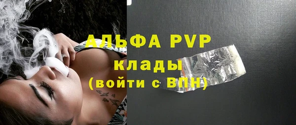 твердый Новозыбков