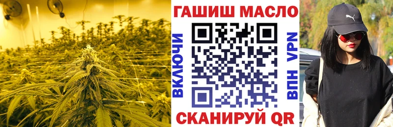 ТГК THC oil  даркнет сайт  Короча 